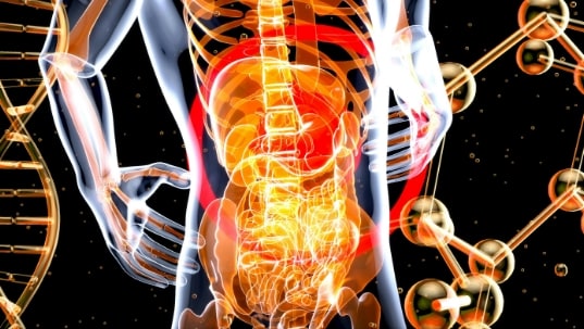 Entendiendo la Enfermedad Inflamatoria Intestinal: Un panorama general